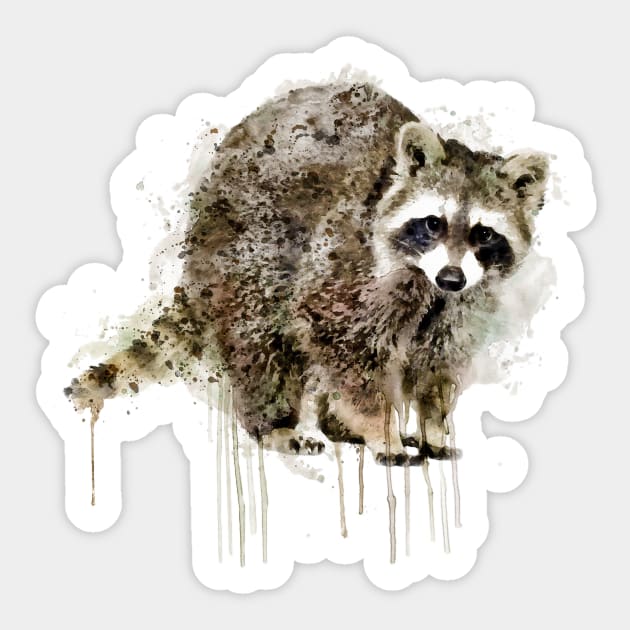 Raccoon Sticker by Marian Voicu